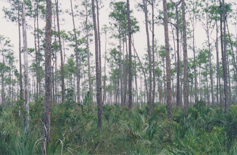 005-Everglades National Park.jpg